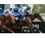  Carrera: P.Valderas Caballo: Octans Monta: V.Janacek